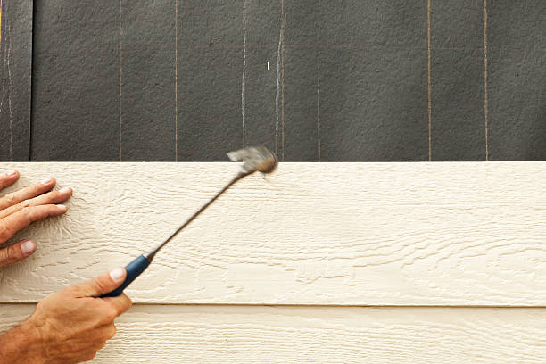Best Steel Siding Installation  in Bayou Vista, LA